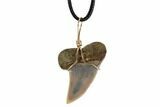 Fossil Mako Tooth Necklace - Bakersfield, California #95245-1